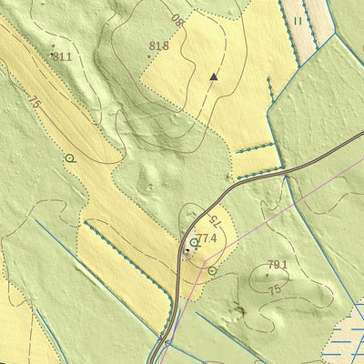 Maa-amet Jaama küla, Mustvee vald digital map