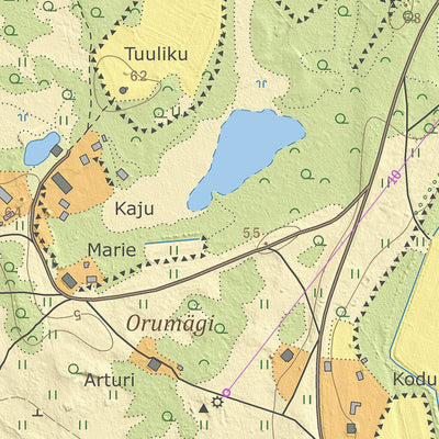 Maa-amet Karala küla, Saaremaa vald digital map