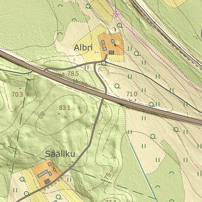 Maa-amet Kassinurme küla, Jõgeva vald digital map