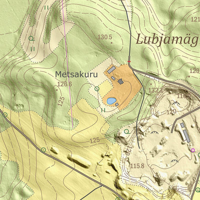 Maa-amet Kastolatsi küla, Otepää vald digital map