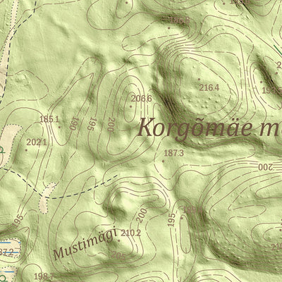 Maa-amet Kirikumäe küla, Võru vald digital map