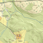 Maa-amet Kodijärve küla, Kambja vald digital map