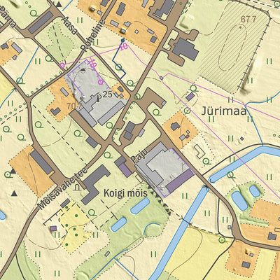 Maa-amet Koigi küla, Järva vald digital map