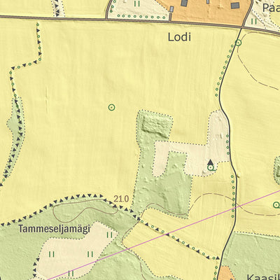 Maa-amet Koikla küla, Saaremaa vald digital map