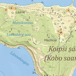 Maa-amet Koipsi küla, Jõelähtme vald digital map