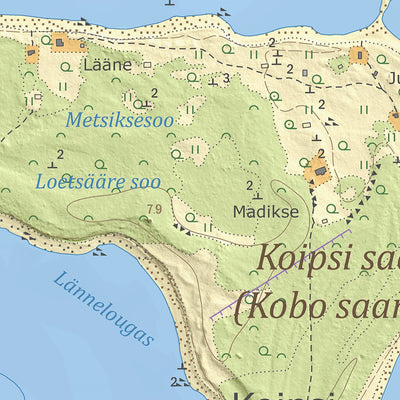 Maa-amet Koipsi küla, Jõelähtme vald digital map