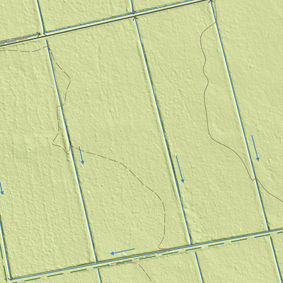 Maa-amet Laeva küla, Tartu vald digital map