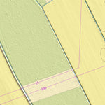 Maa-amet Leie küla, Viljandi vald digital map