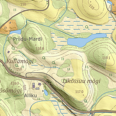 Maa-amet Liiva küla, Võru vald digital map