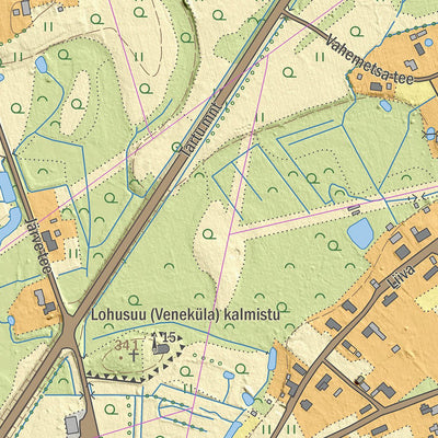 Maa-amet Lohusuu alevik, Mustvee vald digital map