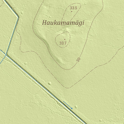 Maa-amet Loodna küla, Märjamaa vald digital map