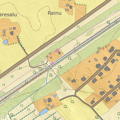 Maa-amet Meeri küla, Nõo vald digital map