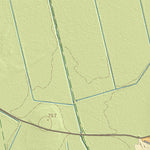 Maa-amet Mustla küla, Paide linn digital map