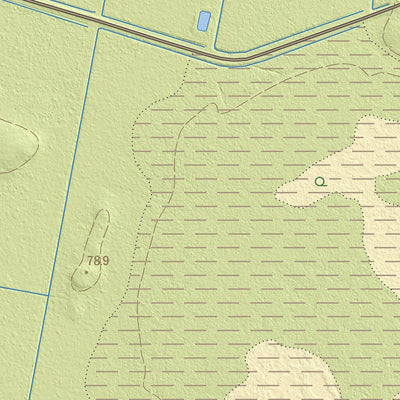Maa-amet Mustla-Nõmme küla, Paide linn digital map