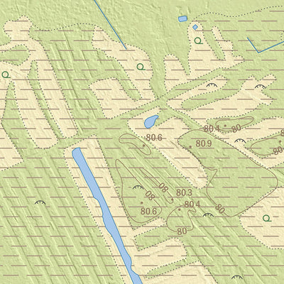 Maa-amet Müüsleri küla, Järva vald digital map