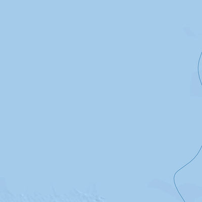 Maa-amet Nasva alevik, Saaremaa vald digital map