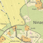 Maa-amet Ninase küla, Saaremaa vald digital map