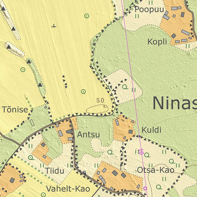 Maa-amet Ninase küla, Saaremaa vald digital map