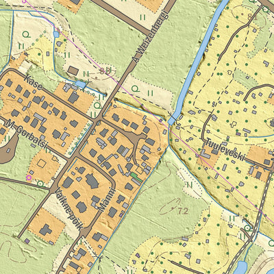 Maa-amet Olgina alevik, Narva-Jõesuu linn digital map