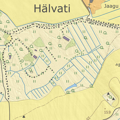Maa-amet Pagasi küla, Lääneranna vald digital map