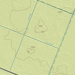 Maa-amet Palasi küla, Vinni vald (2) digital map