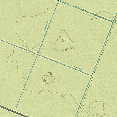 Maa-amet Palasi küla, Vinni vald (2) digital map