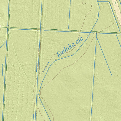 Maa-amet Patika küla, Tapa vald digital map