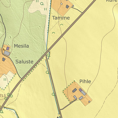 Maa-amet Patküla, Tõrva vald digital map