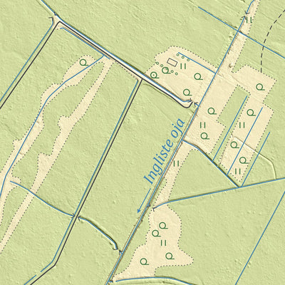 Maa-amet Piiumetsa küla, Türi vald digital map