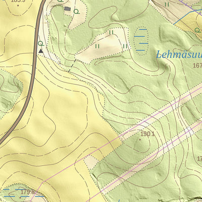 Maa-amet Pikareinu küla, Kanepi vald digital map