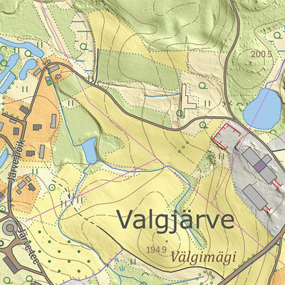 Maa-amet Pikareinu küla, Kanepi vald digital map