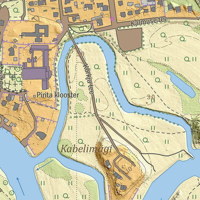 Maa-amet Pirita linnaosa, Tallinn digital map