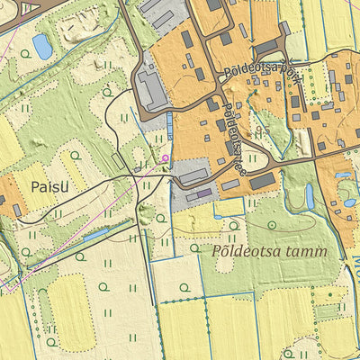 Maa-amet Põldeotsa küla, Pärnu linn digital map