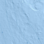 Maa-amet Rammu küla, Jõelähtme vald (5) digital map