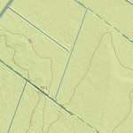 Maa-amet Rassi küla, Türi vald (2) digital map