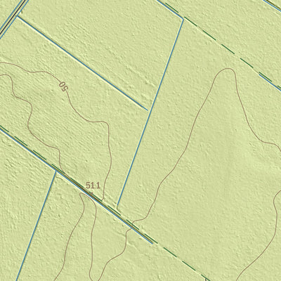 Maa-amet Rassi küla, Türi vald (2) digital map