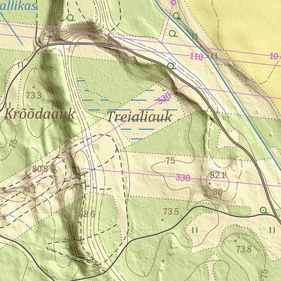Maa-amet Raudla küla, Tapa vald digital map