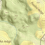 Maa-amet Rebasemõisa küla, Valga vald digital map