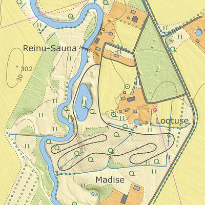 Maa-amet Reinumurru küla, Põhja-Pärnumaa vald digital map