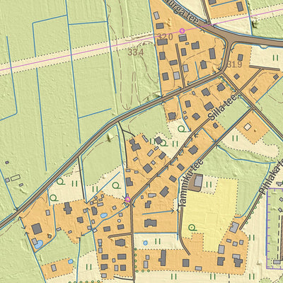 Maa-amet Remniku küla, Alutaguse vald digital map
