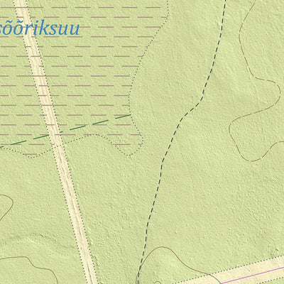 Maa-amet Riihora küla, Võru vald digital map