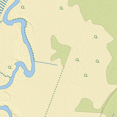 Maa-amet Riisa küla, Tori vald (2) digital map
