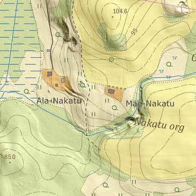 Maa-amet Ringiste küla, Valga vald digital map