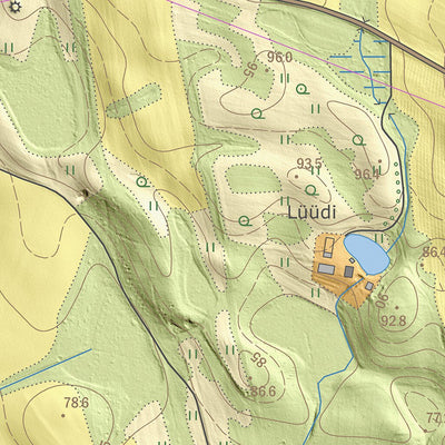 Maa-amet Ringiste küla, Valga vald digital map