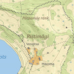 Maa-amet Salinõmme küla, Hiiumaa vald (1) digital map