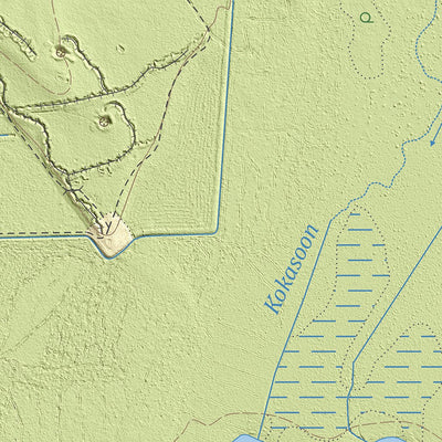Maa-amet Saustinõmme küla, Saku vald digital map