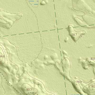 Maa-amet Selgise küla, Peipsiääre vald digital map