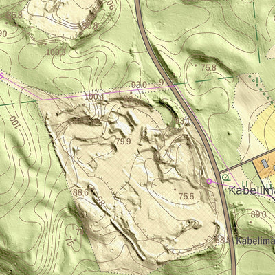 Maa-amet Selgise küla, Peipsiääre vald digital map
