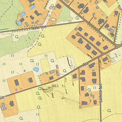 Maa-amet Soinaste küla, Kambja vald digital map