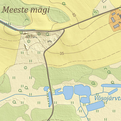 Maa-amet Sülgoja küla, Räpina vald digital map